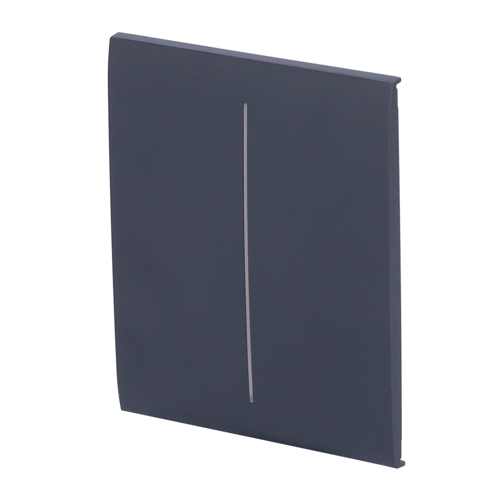 Pannello tattile per doppio interruttore della luce - Compatibile con AJ-LIGHTCORE-2G - Retroilluminazione a LED - Pannello tattile centrale senza contatto - Colore grigio grafite - Ajax - LightSwitch CenterButton