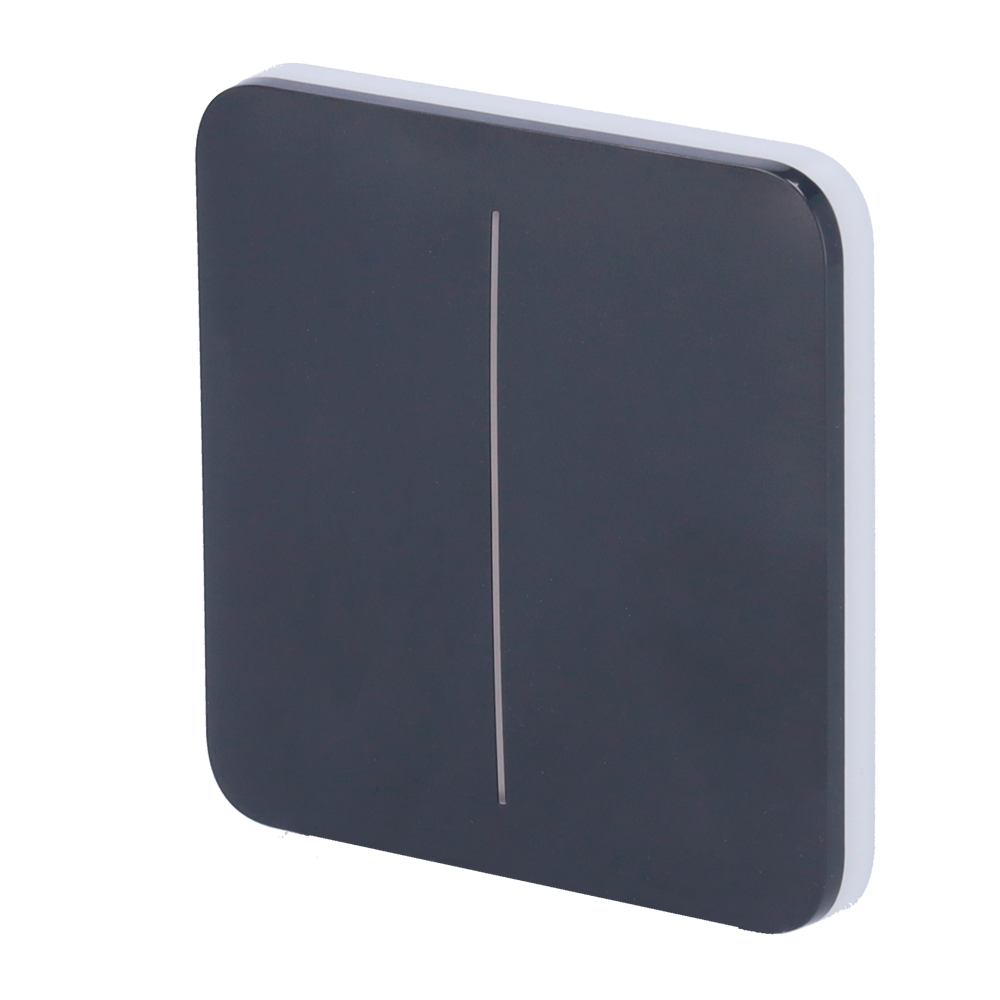 Pannello tattile per doppio interruttore della luce - Compatibilità con AJ-LIGHTCORE-2G - Retroilluminazione a LED - Pannello tattile senza contatto - Colore grigio grafite - Ajax - LightSwitch SoloButton