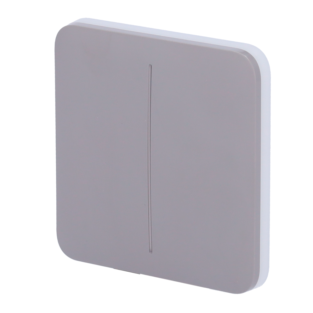 Pannello tattile per doppio interruttore della luce - Compatibilità con AJ-LIGHTCORE-2G - Retroilluminazione a LED - Pannello tattile senza contatto - Colore grigio - Ajax - LightSwitch SoloButton