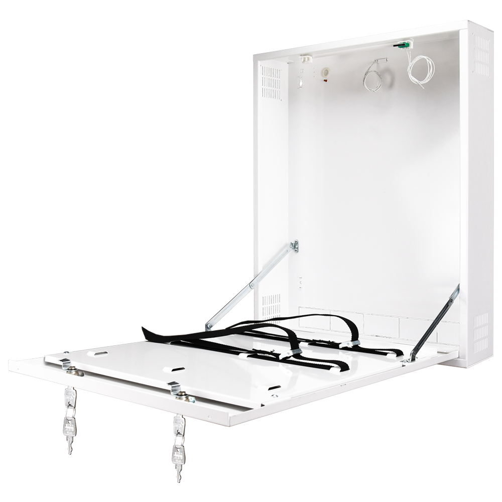 Box di sicurezza - Speciale per installazione a parete - Formato verticale - 2 chiavi e serrature - Ingressi per cablaggio - IP 20 - RACK-DVRBOX-MVERTICAL