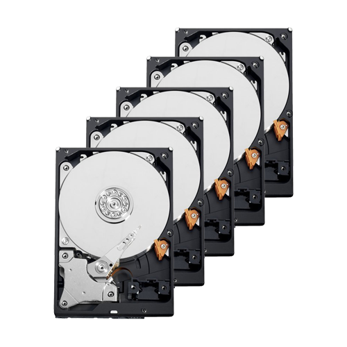 Pack di Hard Disk - 10 unità  - Seagate - ST1000VX001 - 1 TB di immagazzinamento - Speciale per TVCC