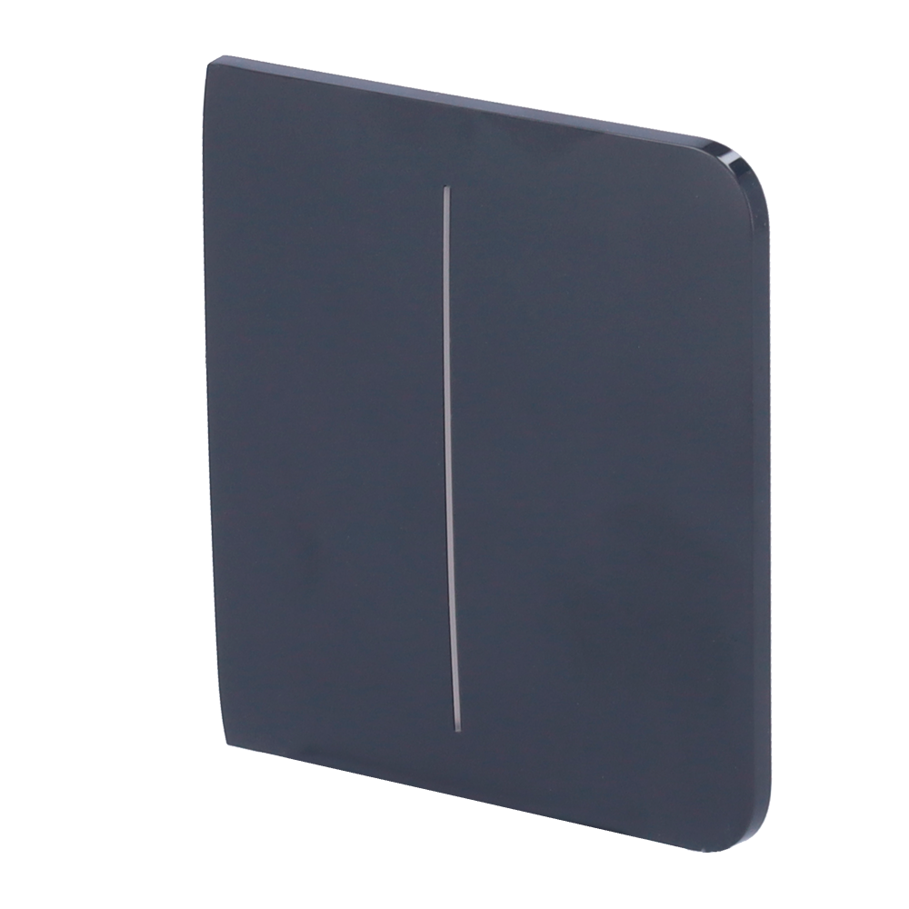 Pannello tattile per doppio interruttore della luce - Compatibile con AJ-LIGHTCORE-2G - Retroilluminazione a LED - Pannello tattile laterale senza contatto - Colore grigio grafite - Ajax - LightSwitch SideButton