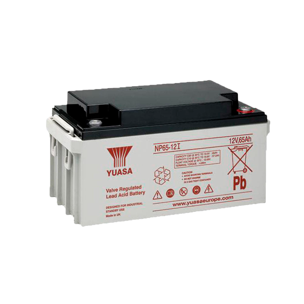 Yuasa NP65-12I - Batteria ricaricabile - Tecnologia piombo-acido AGM - Voltaggio 12 V / Capacità 65 Ah - 174 x 350 x 166 mm / 23 kg - Certificazione antincendio e di evacuazione - BATT-1265-P