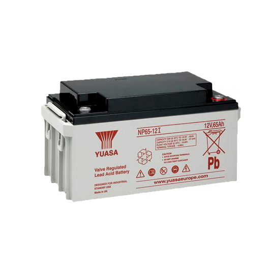 Yuasa NP65-12I - Batteria ricaricabile - Tecnologia piombo-acido AGM - Voltaggio 12 V / Capacità 65 Ah - 174 x 350 x 166 mm / 23 kg - Certificazione antincendio e di evacuazione - BATT-1265-P