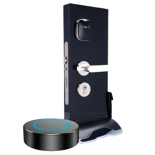 Espositore - Serratura per hotel - Lettore schede | Chiavi fisiche - Software gratuito Hotel Lock System - Plug & Play - Piedistallo: 485mm (I) x 195mm (H) x 220mm (P)